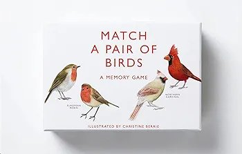 Matching a pair of birds - Juego de memoria de pajaros