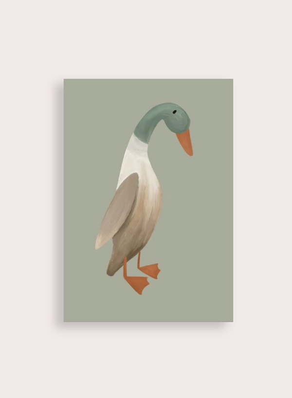 Poster Mr Duck