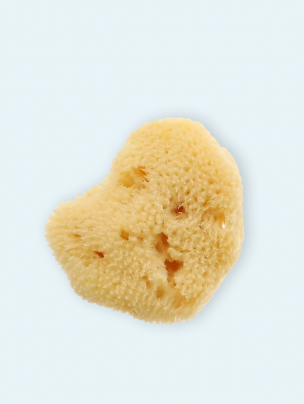 Esponja natural pequeña