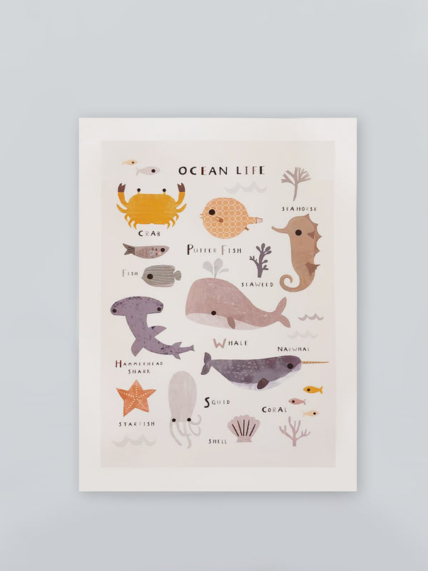 Poster animales marinos